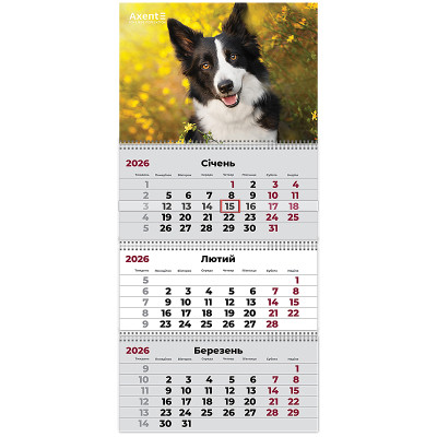 Календарь Axent настенный квартальный 2026 г.,3 пружины Dogs 3 (8803-26-18-A) Винница - изображение 1