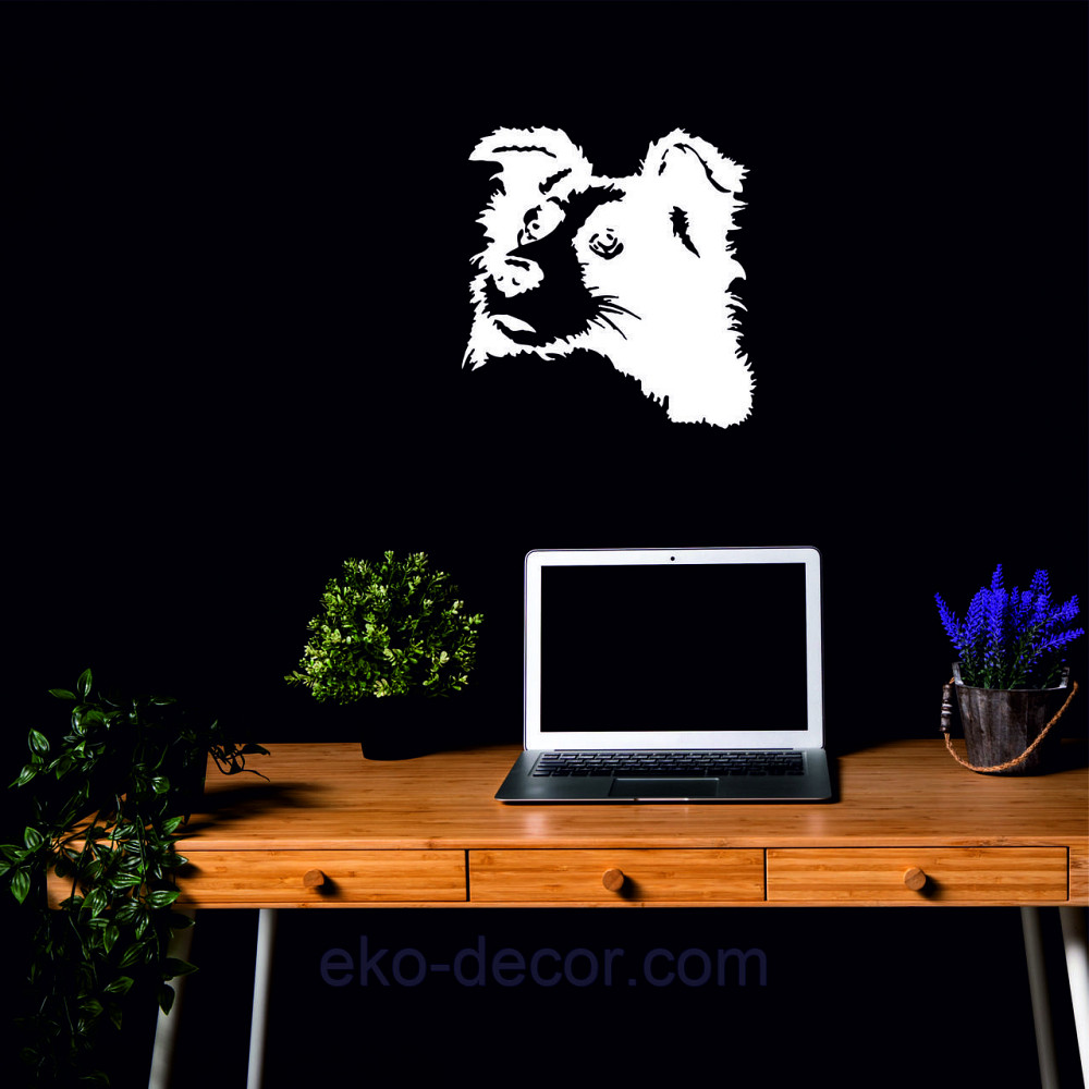 Декоративне настінне Панно «Бордер-Колі», Декор на стіну 50*48 см, Білий Київ - фото 4