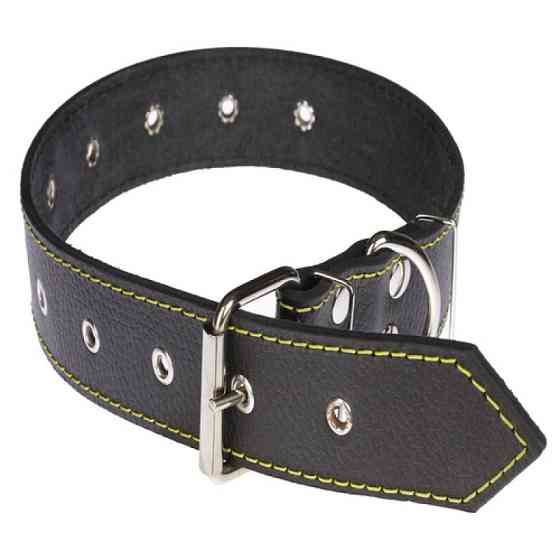 Нашийник 612 40мм "Класик" шкіряний безрозмірний Вінниця