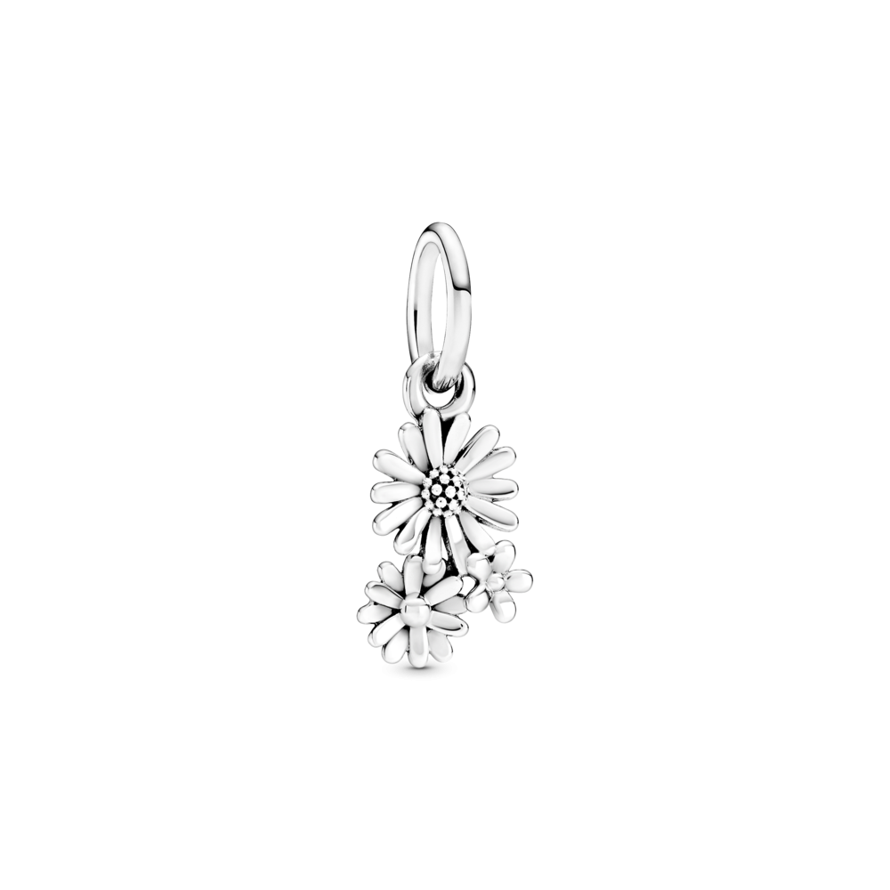 Серебряный шарм Пандора    