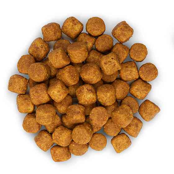 Hills Science Plan Canine Adult Large Breed Chicken (Хиллс СП Канин Эдалт для собак 1-5 лет крупных пород 25+) Запорожье