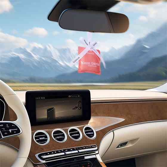 Автомобільний освіжувач повітря Baseus Margaret Series Car Air Freshener (Neon Garden) Baby Pink Київ