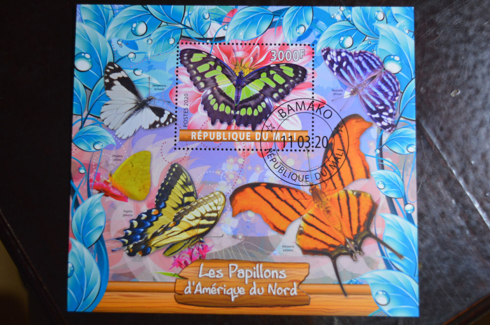 Малі. Марки. Фауна. Блок. 2020 рік (В-1) Полтава - фото 1