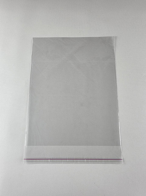 Пакети з клейкою стрічкою 23см 30см 25мк (1000шт) Харків - фото 1