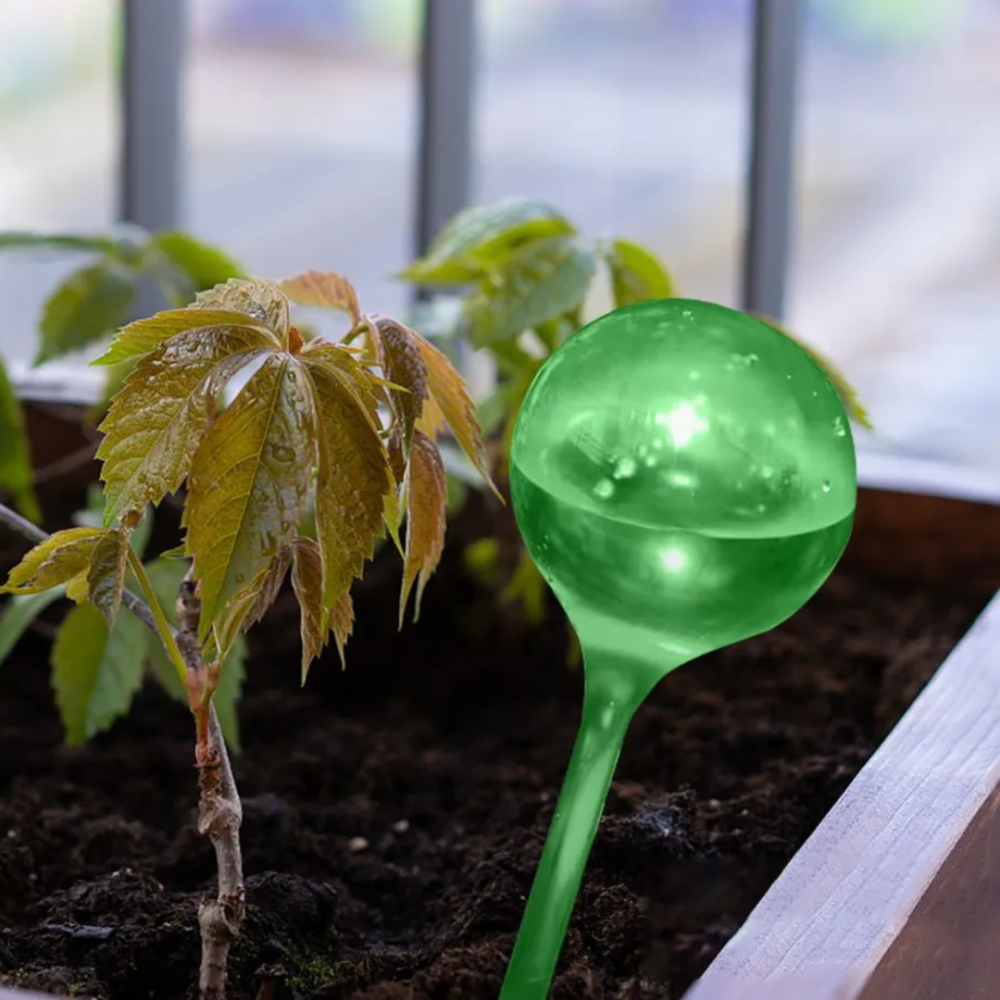 Колба для автоматического полива | Вазон в виде шара для сада, 4шт, капельный полив для растений, зеленый Каменец-Подольский - изображение 2