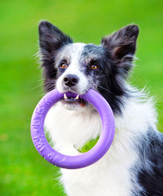 Тренувальний снаряд для собак PULLER Midi, (діаметр 19,5 см) Коломия - фото 4