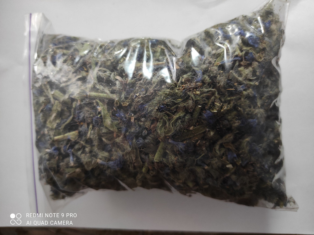 Синяк обыкновенный, 100г master sem Киев - изображение 1