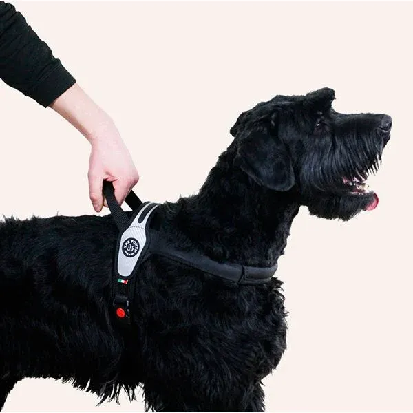 Шлея для великих собак Tre Ponti Size L Carbon Луцк - изображение 2