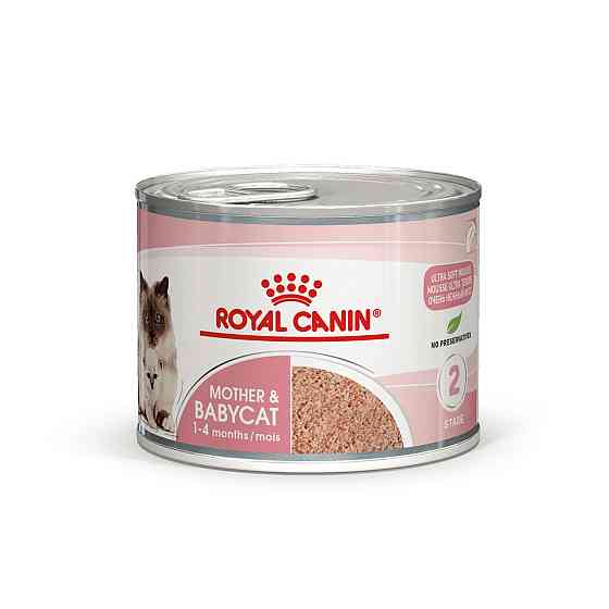 Влажный корм (мусс) для котят в возрасте от 1 до 4 месяцев ROYAL CANIN MOTHER & BABYCAT Cans 0.195 кг Киев