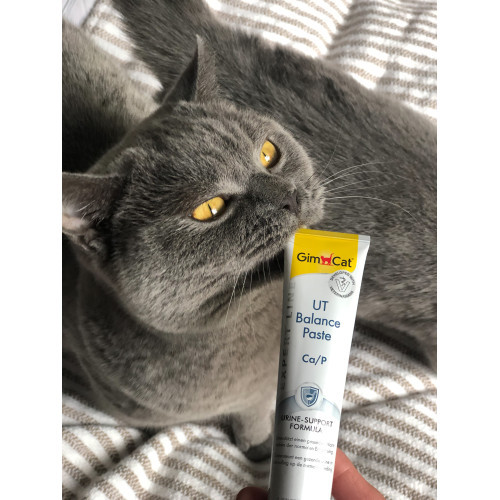 Вітаміни GimCat Expert Line UT Balance для котів паста для нирок та сечовивідних шляхів 50 г Київ - фото 5