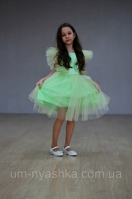 Костюм Капуста, обідок Капусти Кривий Ріг - фото 4