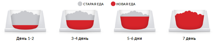 Hills Science Plan Canine Mature Adult Medium Chicken (Хіллс СП Матюр Едалт) для середніх 11-25 кг собак 7+ років Запоріжжя - фото 5