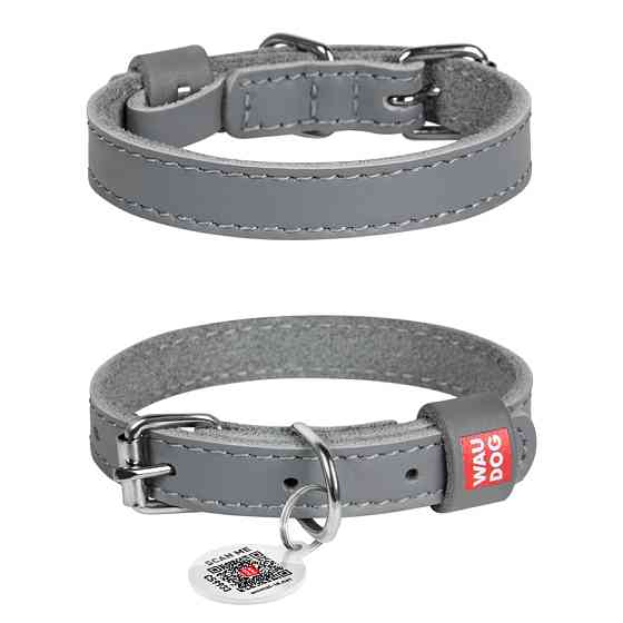 Нашийник для собак шкіряний WAUDOG Classic, Ш 12 мм, Дов 21-29 см сірий Коломыя