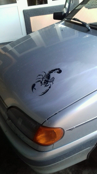 Стикер на авто Скорпіон Чорна 2 шт Київ - фото 3