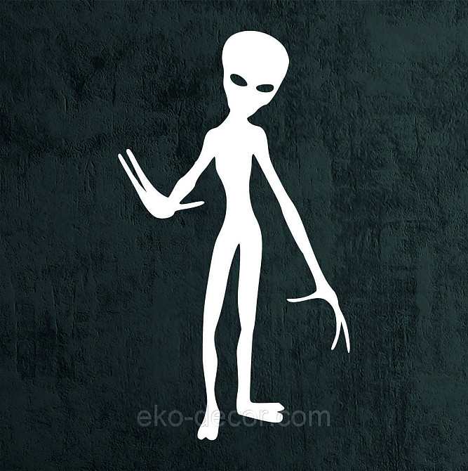 Декоративное настенное Панно «НЛО», Декор на стену 70*39 см, Белый Киев - изображение 8