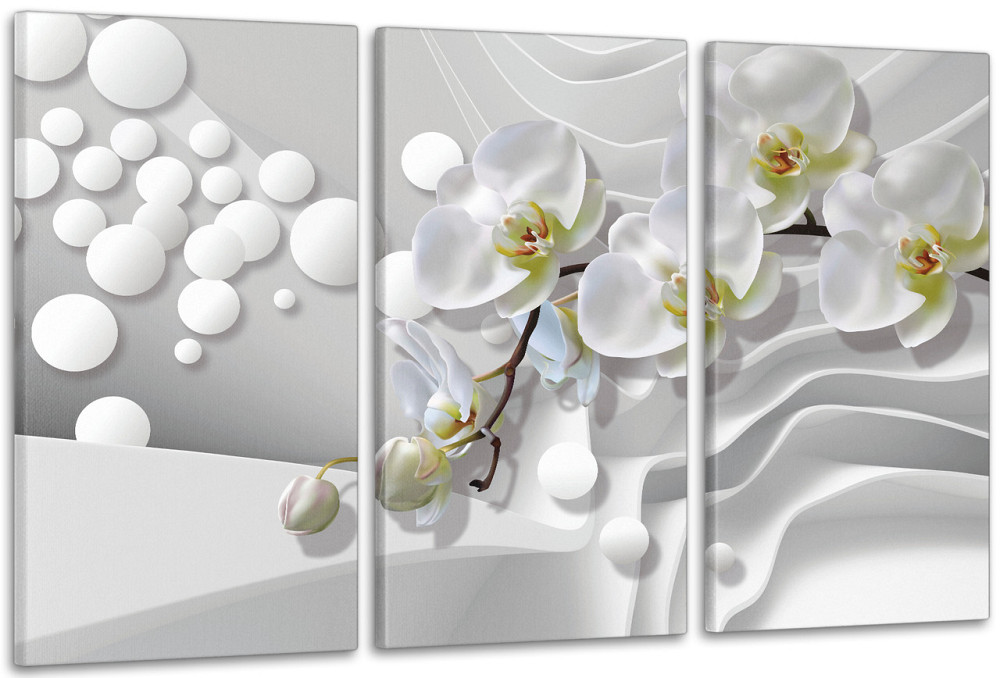 Модульная картина в гостиную / спальню Біла Орхідея    ART-012_3A 100х150 см Киев - изображение 1