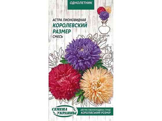 Астра пионовидная Корол. Размер ОД (смесь) 0.25г (10 пачек) ТМ НАСИТАНИЕ УКРАИНЫ Киев