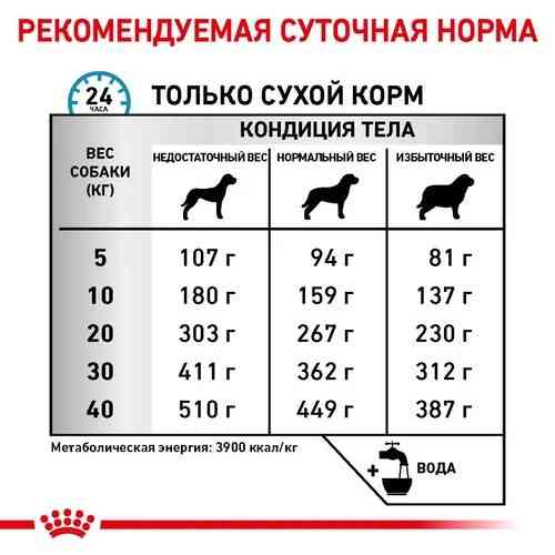 Royal Canin Skin Care (Роял Канін Скін Кер) сухий корм для собак у разі дерматозів і випадання шерсті 11 кг. Запоріжжя