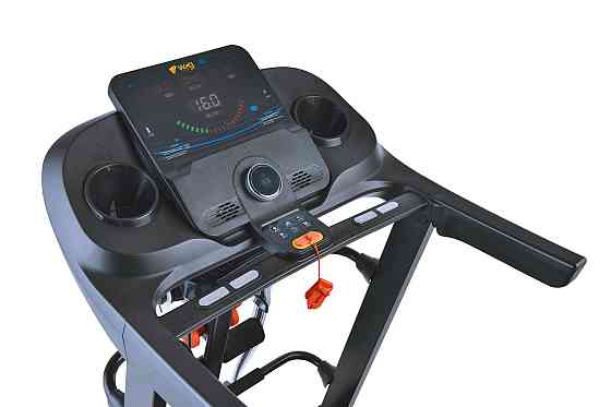 Бігова доріжка електрична WCG-H560М + Гантелі + Масажер БЕЗКОШТОВНА ДОСТАВКА Київ