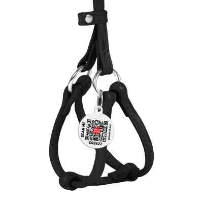 Шлей для собак WAUDOG Glamour с поводком круглая Д 6 мм А 26-46 см В 30-50 см черная (34011) Винница