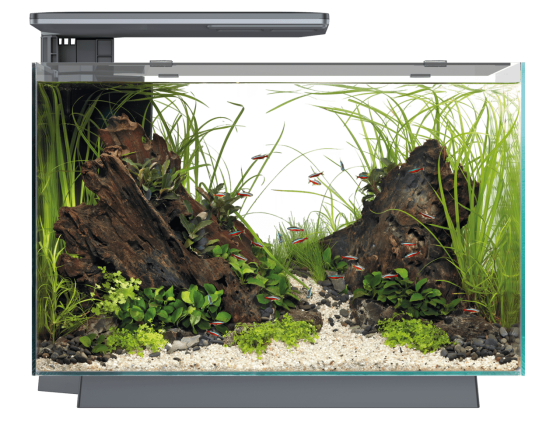 Акваріумний набір SuperFish Quadro 70 Pro Black (A4052225) Київ