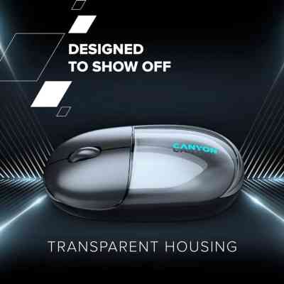 Мышка Canyon OnClick 24 Wireless Black (CNS-CMSW24B) Винница