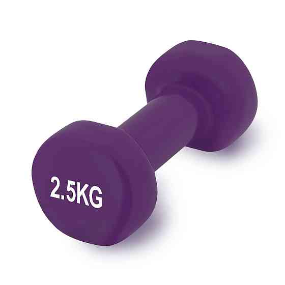 Гантель вінілова PowerPlay 4125 Achilles 2.5 кг. Фіолетова (1шт.) Кам'янське
