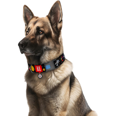 Нашийник для тварин WAUDOG Nylon з QR паспортом NASA пластиковий фастекс L (4750) Вінниця - фото 4