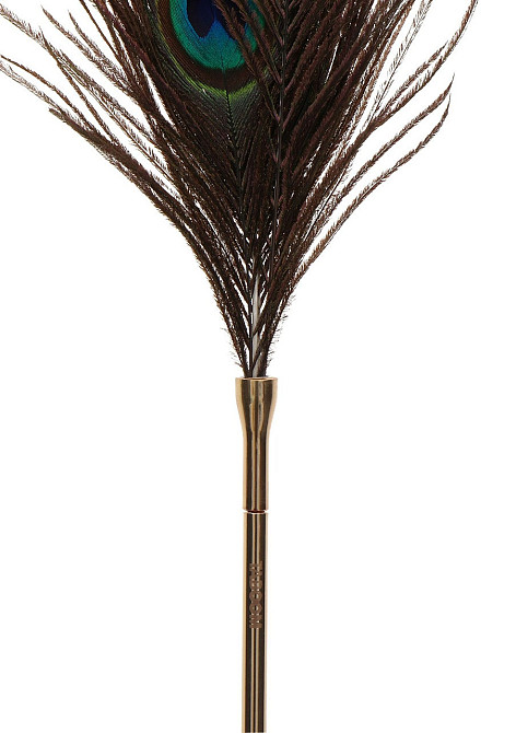 Перо Павича Taboom DONA Peacock Tickler на довгій ручці Sex Aura Київ - фото 3