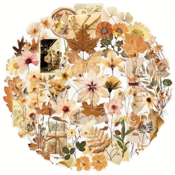 Набір вінтажних наліпок із пресованими квітами та листям — натуральні ботанічні мотиви, 50 шт Київ