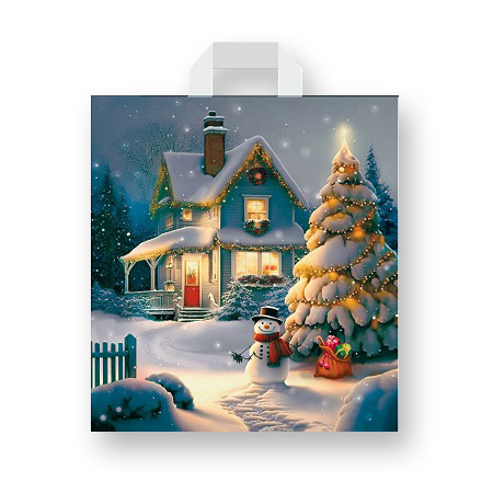 Пакет 40*42 петлевая ручка Домик Снеговика НГ Комсерв (25 шт) Харьков - изображение 2