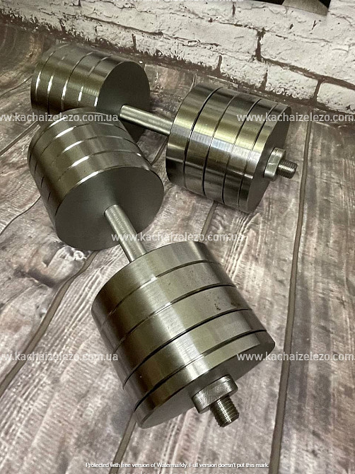 Гантели наборные 2 по 48 кг Гантели, гири, штанги и диски металлические без покрытия Киев - изображение 1