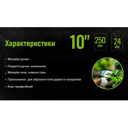 Секатор 250 мм (PS-22250) Alloid Одеса - фото 4