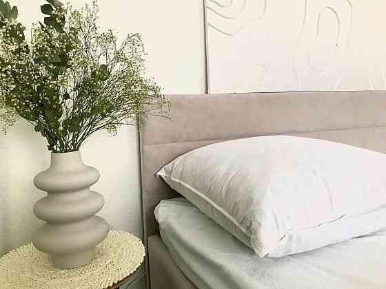 Ecotton Подушка Ecotton 50х70 см пухова 100% біла White Київ