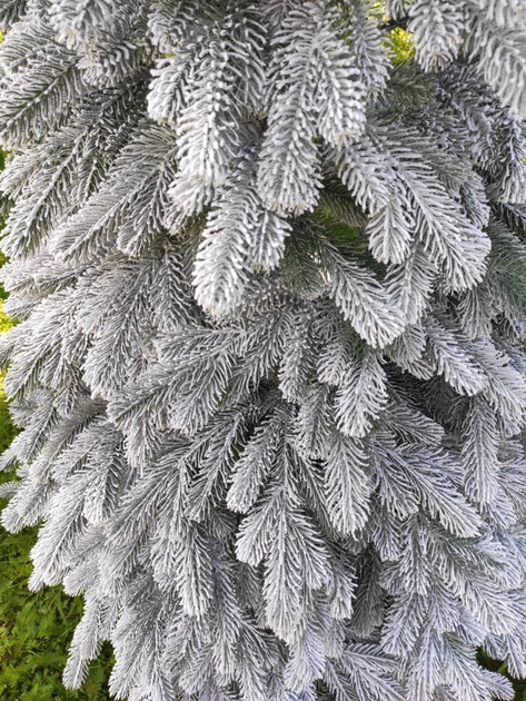 Лита штучна ялинка Елітна засніжена (висота – 2.80 м) Вінниця - фото 4