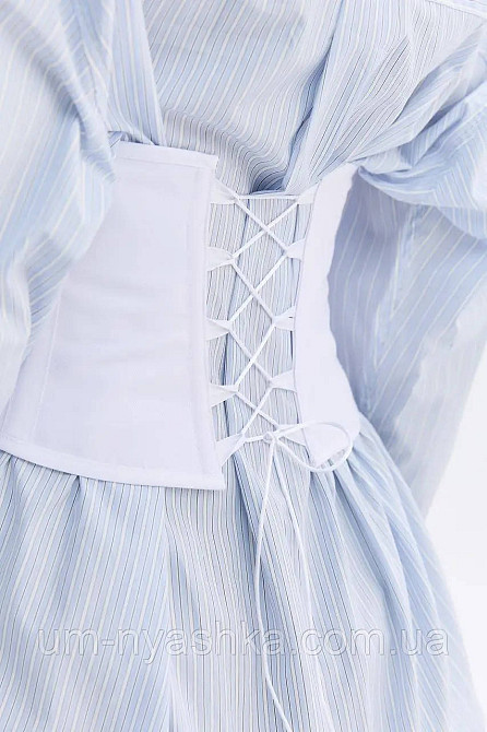 Корсет жіночий та підлітковий корсетний пояс з вишивкою Колоски Кривий Ріг - фото 5