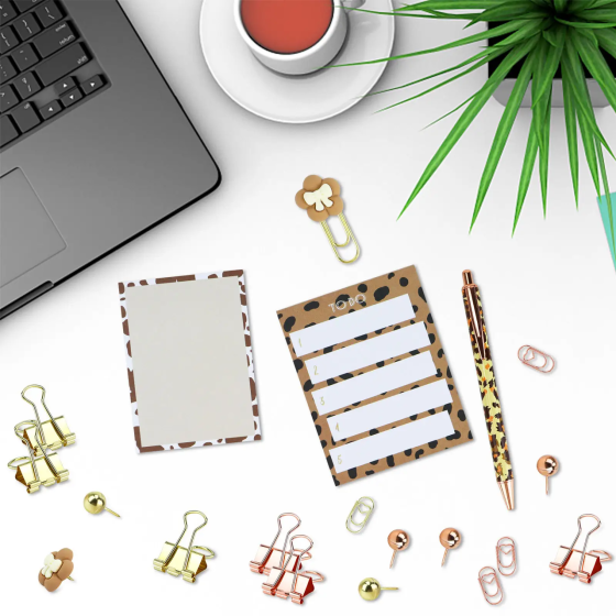 Подарунковий набір канцелярії для навчання і роботи, органайзер, ручка, скріпки і стікери, леопардовий бокс Кам'янець-Подільський