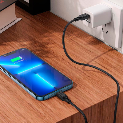 Дата кабель USB-C to Lightning 1.0m Cool silicone PD 20W X90 black HOCO (6931474788382) Винница - изображение 6