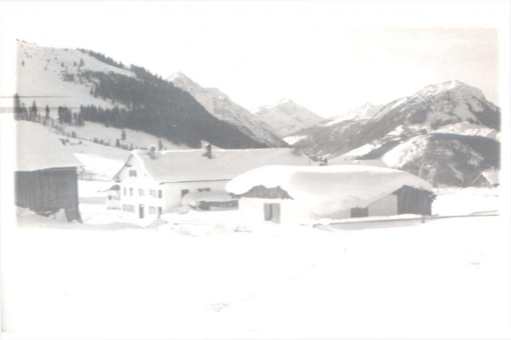 Почтовая карточка. Зима в горах Полтава - изображение 1