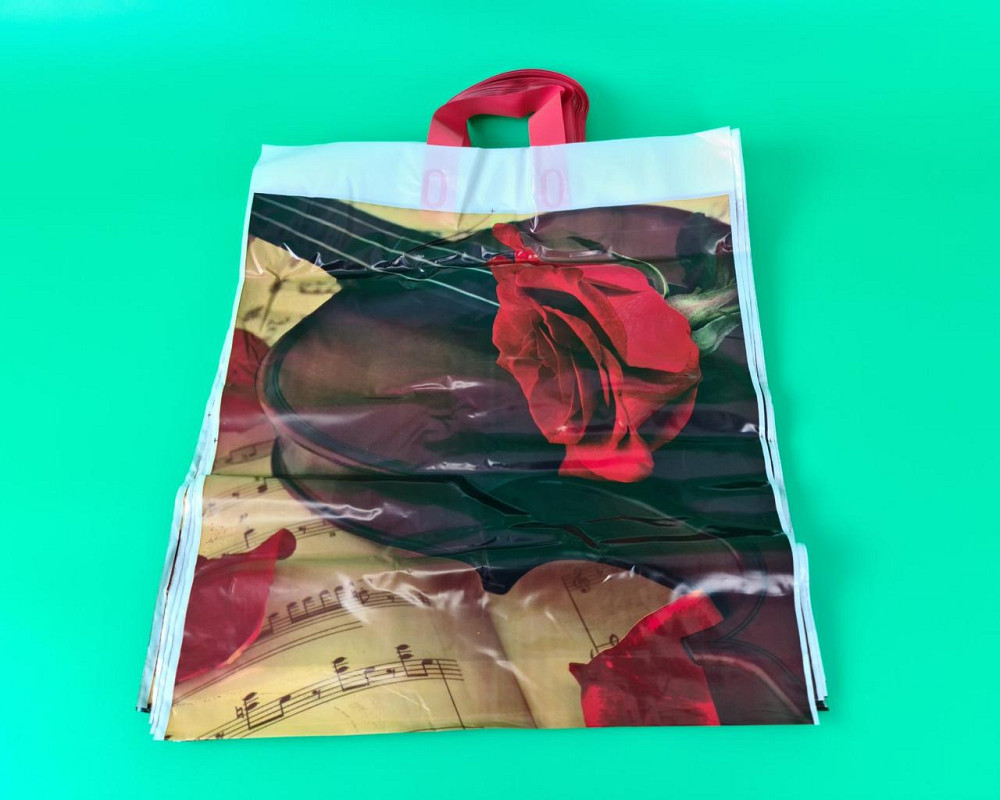 Пакет с петлевой ручкой (42*50+5) 