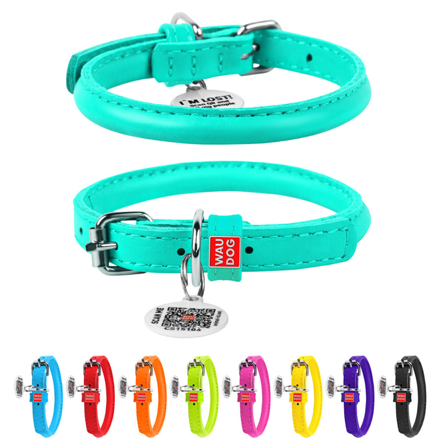 Ошейник для собак кожаный WAUDOG Glamour с QR паспортом, круглый, Д 6 мм, Дл 17-20 см ментоловый Киев - изображение 1