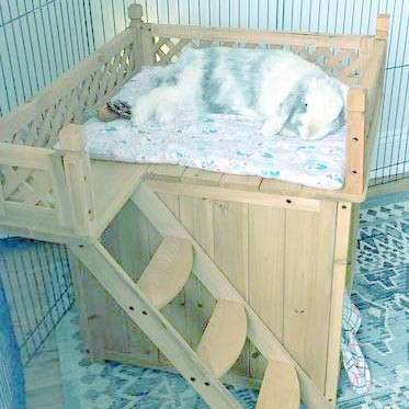 Будиночок для кроликів "Гойла" бланже Миколаїв - фото 1