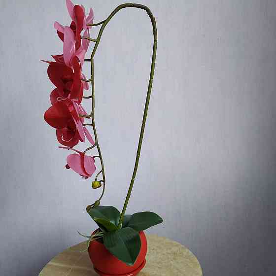 Штучна латексна орхідея VIP у червоному керамічному кашпо на одну гілку червона Дніпро