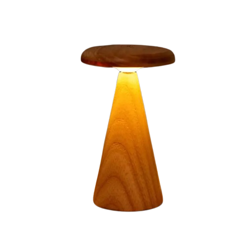 Светильник на аккумуляторе Gingko Sylva Mini (LED теплый свет + RGB) Белый ясень Винница - изображение 7