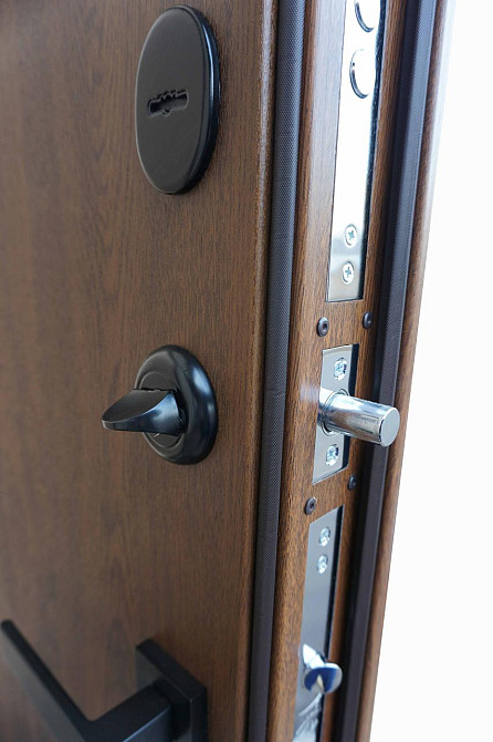 Дверь уличная модель LAMA LINE, дуб темный 860 Киев - изображение 7