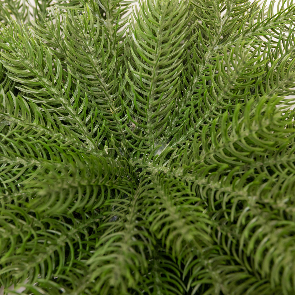 Новорічна хвойна гірлянда лита зелена Північна зірка 60*35 см TD-NSTGR1 Київ - фото 6