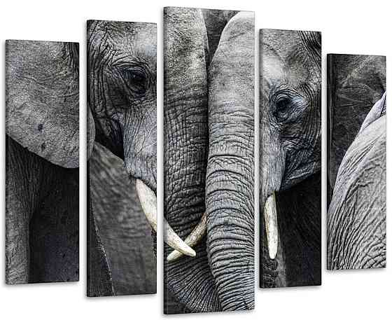 Модульна картина Тварини Art-344_5 ( 80х118см ) Київ