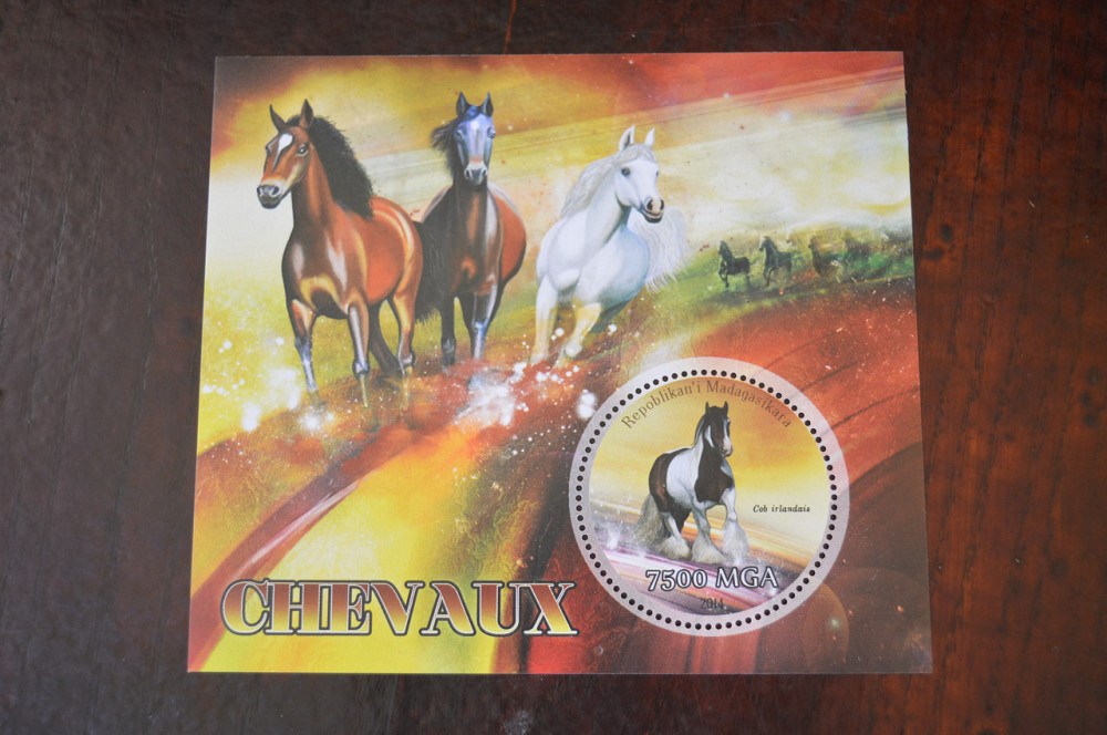 Мадагаскар. Фауна. Личности. Блок. (А-35) Полтава - фото 1