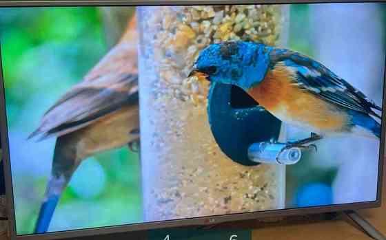 Телевизор LG 39LB580V. Киев