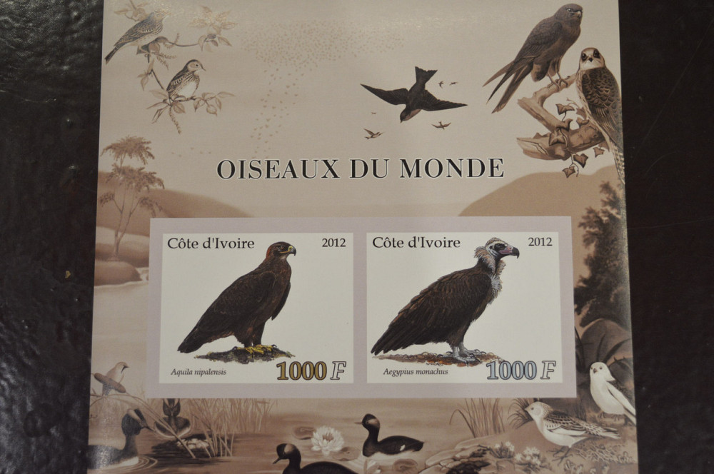 Кот-Д'івуар. Фауна. Марки. Блок. 2012 рік (І) Полтава - фото 1